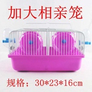 ที่เลี้ยงhamsterอะคริลิกขนาดใหญ่พร้อมทุกอย่าง ที่อยู่อาศัยสองชั้นโปร่งใสแบบวิลล่าสำหรับhamsterขนาดเล