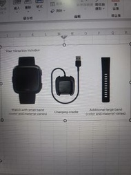 原裝Fitbit Versa &amp; Versa2 錶帶和火牛charger