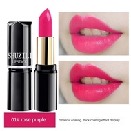 Black Matte Lipstick Waterproof Long Lasting Lipstick