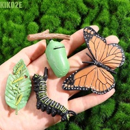 KIKO2E Growth Cycle Model Biology Science Toy Butterfly Growth Cycle Plastic Models Insect Animals C
