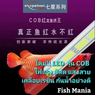 🔴มีจำนวนจำกัด🔴 LED LED model strong light beautiful light fresh color coating waterproof Alowa beaut