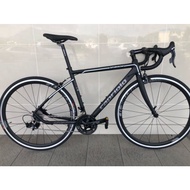 (Ready Stock) Capriolo Sparrow Alloy Road bike, Ltwoo 2x11 Groupset, machine 11 Seal Bearing Wheelse