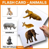 Animals Flash Card for Kids, Ocean Animals Baby Animals Big Flash Card, Flashcard, Flashcards, Bayi,