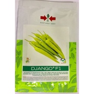 ♞,♘chili variety(siling panigang) DJANGO DOS F1