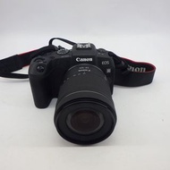 Canon  EOS RP /RF24-105mm F4-7.1 IS STM