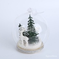 Wholesale Christmas Glass BallLEDLamp/LEDChristmas Gift/Painted Christmas Ball Cover Glass Craft Gift