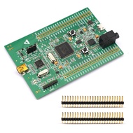 STM32 STM32F4DISCOVERY STM32F407 Cortex-M4 board