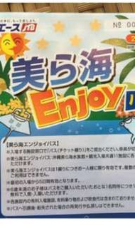 Enjoy pass 沖繩美麗海水族館+11大景點選3