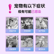 Cat Pregnancy Test Paper Virus Dog Prevention Cat Test Cat Bow Bug Universal Card Test Dog toxo Pet 