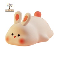 Night Light,Cute Silicone Lamp, Dimmable Light Up Bunny, Night Lamp,Rechargeable Bunny Nightlight, B