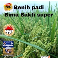 BENIH PADI SUPER UNGGUL BIMA SAKTI 5KG ORIGINAL BERSERTIFIKAT