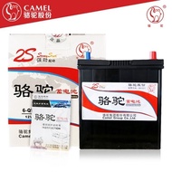 Camel Maintenance-Free Manufacturer Battery 6-QW-36 Van Supply Miniature Car Starter Tricycle ZCBS