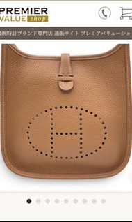 2026 hermes Evelyne 29