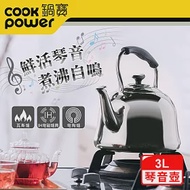 【CookPower鍋寶】316不銹鋼琴音壺3L WK-3630