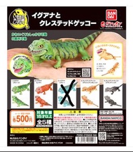 Bandai Gashapon 萬代 生物大圖鑑 扭蛋 - 鬣蜥與鳯頭守宮  8箇所可動 