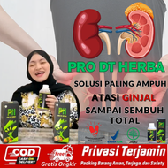 Obat Ginjal Paling Ampuh Mengatasi Ginjal Sakit Pinggang obat ginjal herbal ampuh obat ginjal bengka