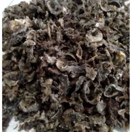Parfum Walet bentuk Sarang Walet Gua Asli / parfum walet / sarang walet imitasi / sirip walet / arom