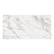 BOONPLUS กระเบื้อง HILLTON WHITE MATT CARVING 60X120 CM