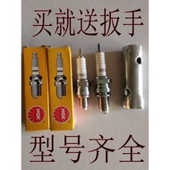 Japan NGK Spark Plug, Motorcycle Spark Plug, C7HSA, D8EA, CR6E Motorcycle Spark Plug