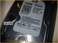 JULE 3C會社-威騰WD 750GB 750G WD7502AAEX 64M/企業級/雙處理器/保內未拆/3.5硬碟