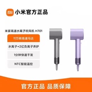 Xiaomi Mi Home Speed Water Ion Hair Dryer H701 Household High Wind Power Fast Drying Noise Reduction