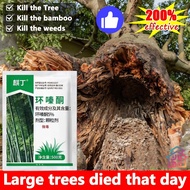 tree killer chemical herbicide to kill tree 500g Contains up to 5% hexazinone kill tree and bamboo r