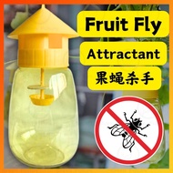 Fruit Fly Trap Bottle 果蝇  Insect Flies Catcher Fruit Fly Attractant Container Perangkap Serangga Lal