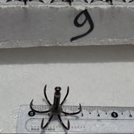 Pancing Garong Carbon - Kail Garong No 4 5 6 7 8 9 10 - Kail Mata 6 - Kail Ikan - Kail Baronang