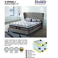 X Spinal I 12inches 7zone Pocketed Spring - Honey Mattress