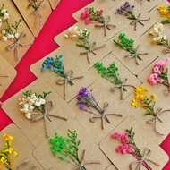 Combo 100 handmade vintage Dried Flower Cards kraft Paper Medium SIZE For decor Valentine'S Gift Box, Christmas, Birthday