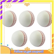 【W】Sports Cricket, Training Cricket, Sports Wind Swing Rebound  Cricket, Elastic Decompression Ball