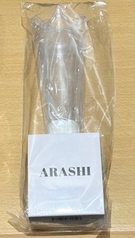 嵐演唱會周邊 We are ARASHI 手燈