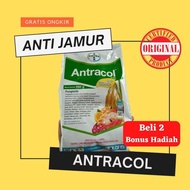 SALE Antracol Fungisida Obat Anti Jamur Aglonema dan Tanaman Sayur