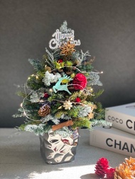 松果聖誕樹 不凋雪松耶誕樹  聖誕節禮物 交換禮物
