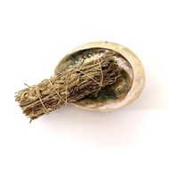 [19] California Blue Sage