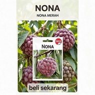 (Murah) Biji Benih Buah Nona Merah (15 Biji)