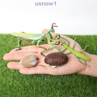AHOUR1 Life Cycle Figures Animal Children Kids Cognitive Realistic Early Educational Grasshopper Kids Toys Cycle Mantis Figurine