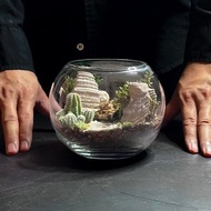 沙狐之影 / 手工客製化微景觀生態盆