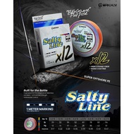 PE IROLY SALTY LINE X12 (color MULTICOLOR) 300m braided line x12 braided line x12