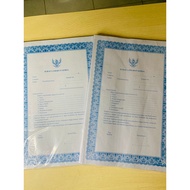 Formation of Job Application Letter 1 Pack