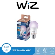 Philips Wiz Tunable A60 White and Color E27 8.5W smart light bulb, Matter compatible