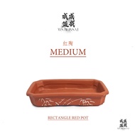 Red Pot Rectangle Chamfered Edge Unglazed Old Bonsai Pot Pasu Bonsai Lama (Medium Size)红陶 老盆