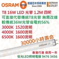 OSRAM 歐司朗 T8 6500K白光 16W 1.2M LED光管 30000小時壽命 實店經營 香港行貨 保用一年