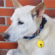 air tag Protective Case Bell Silicone Pet Tracking