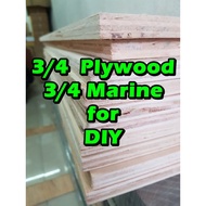 Factory direct sales 34 MARINE PLYWOOD and 34 PLYBOARD for your DIYs (pre-cut) (local)