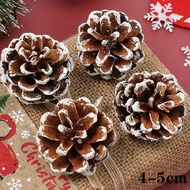 5/10pcs Christmas Pine Cones Natural Snow Pinecones Assortment Pine Cones for Crafts Gift Xmas Tree 
