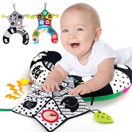 teytoy Tummy Time Pillow Toy, Black and White High Contrast Baby Toy with Mirror, Montessori Sensory Crawling Toy for Infant Newborn Toddler Tummy Time Toys 0 3 6 12 months