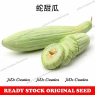 Benih Timun Armenian / Armenian Cucumber Seeds / 蛇甜瓜种子