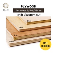 Plywood 1ft x 4ft / DIY board / 3/5/9/12mm thickness