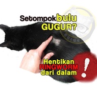 SET STRAY CAT - PIL FUNGUS, KRIM KURAP Hama Kucing Cat Fungus